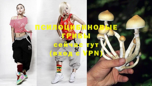 mix Мегион